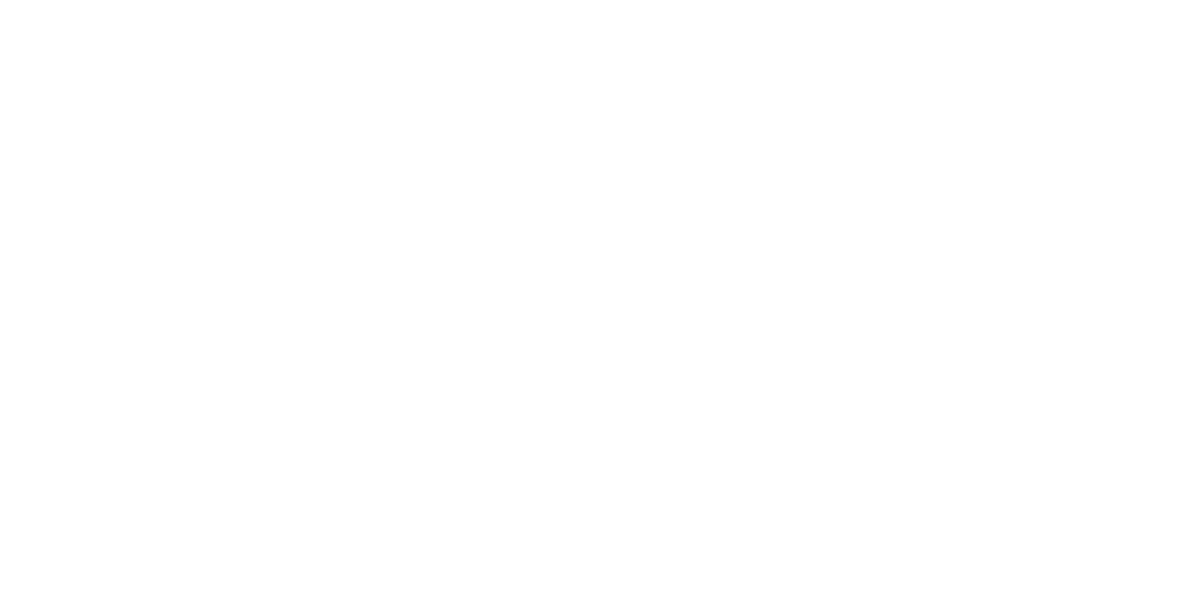Check Point